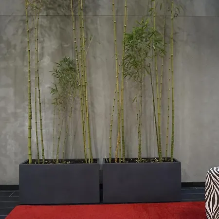 Apartment Lumen Place Mondonedo