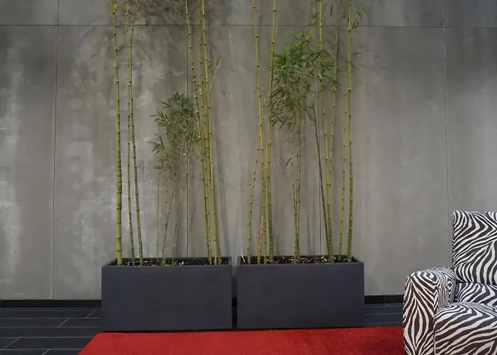 Apartmán Lumen Place Mondoñedo